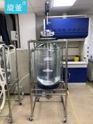 北京某生物公司采购避光反应釜IKA搅拌器
